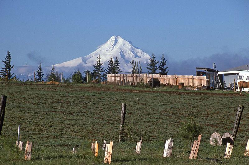 1995-05 White Salmon Jeanne and Steves Cabin 07.jpg